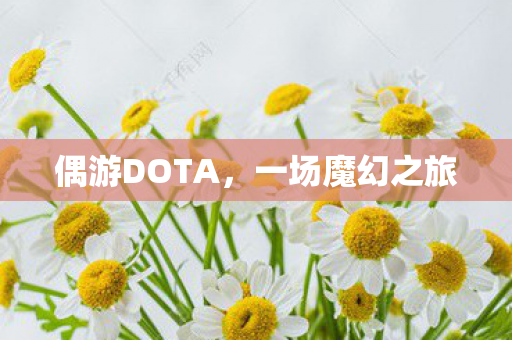 偶游DOTA，一场魔幻之旅