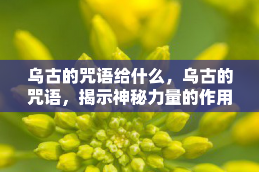乌古的咒语给什么，乌古的咒语，揭示神秘力量的作用