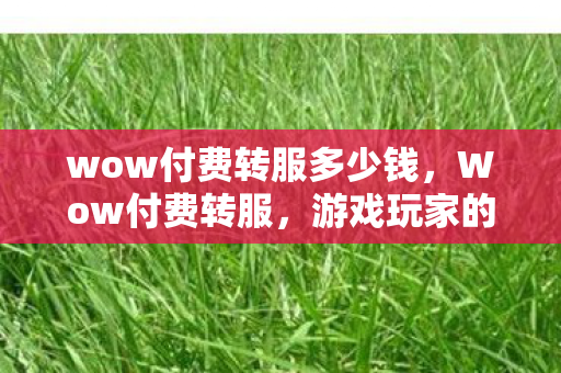 wow付费转服多少钱，Wow付费转服，游戏玩家的新选择