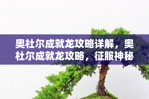 奥杜尔成就龙攻略详解，奥杜尔成就龙攻略，征服神秘之龙