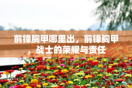 前锋胸甲哪里出，前锋胸甲，战士的荣耀与责任