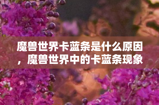 魔兽世界卡蓝条是什么原因，魔兽世界中的卡蓝条现象，原因与解决方案