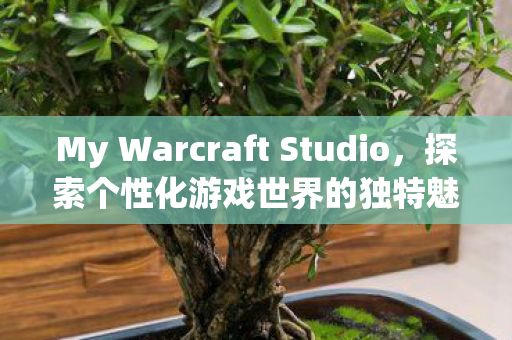 My Warcraft Studio，探索个性化游戏世界的独特魅力