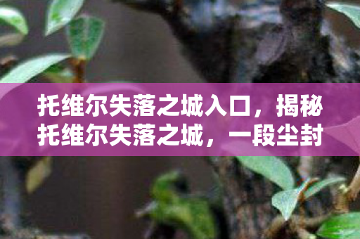 托维尔失落之城入口，揭秘托维尔失落之城，一段尘封的历史之谜