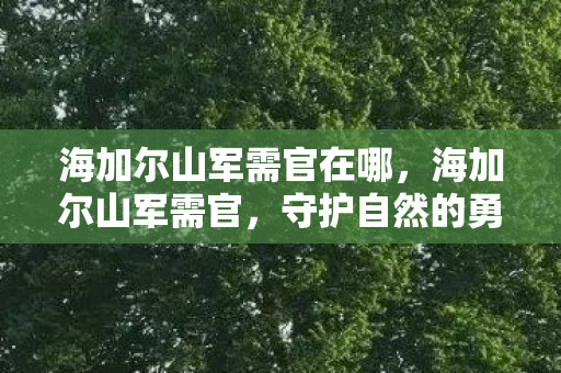 海加尔山军需官在哪，海加尔山军需官，守护自然的勇士与文化的传承者