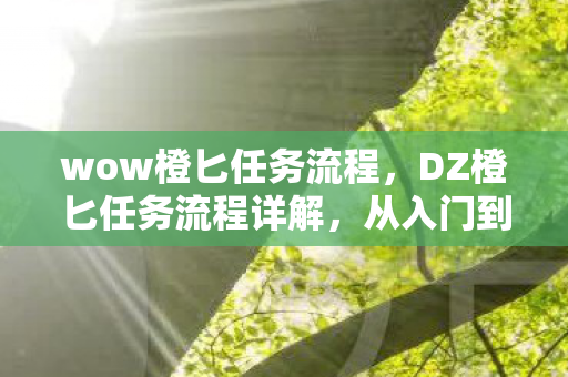 wow橙匕任务流程，DZ橙匕任务流程详解，从入门到精通