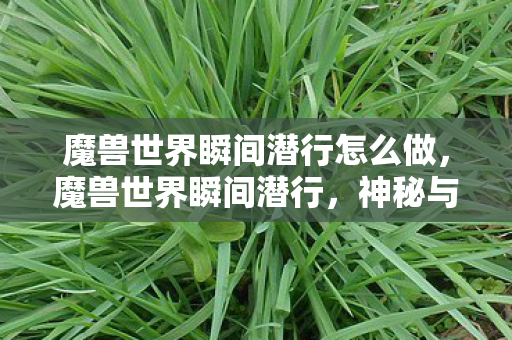 魔兽世界瞬间潜行怎么做，魔兽世界瞬间潜行，神秘与力量的完美结合