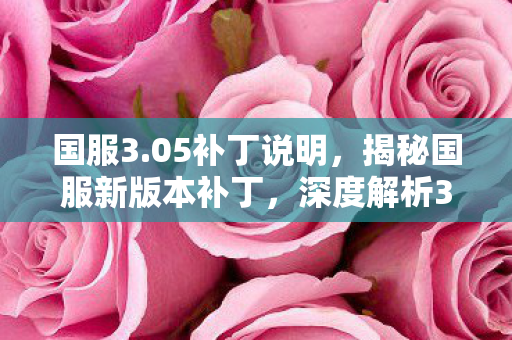 国服3.05补丁说明，揭秘国服新版本补丁，深度解析3.22更新内容