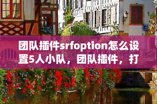 团队插件srfoption怎么设置5人小队，团队插件，打造高效协作的超级力量