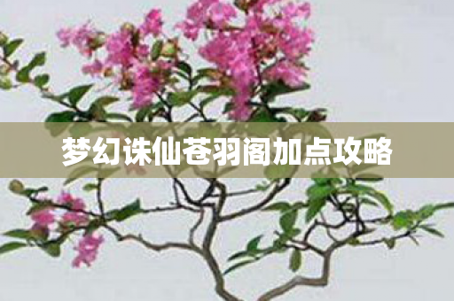 梦幻诛仙苍羽阁加点攻略