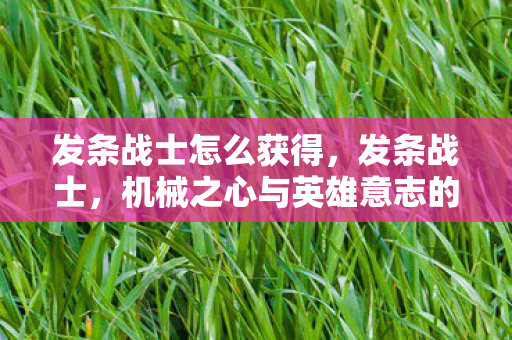 发条战士怎么获得，发条战士，机械之心与英雄意志的完美结合