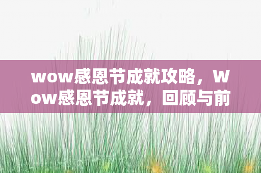 wow感恩节成就攻略，Wow感恩节成就，回顾与前瞻
