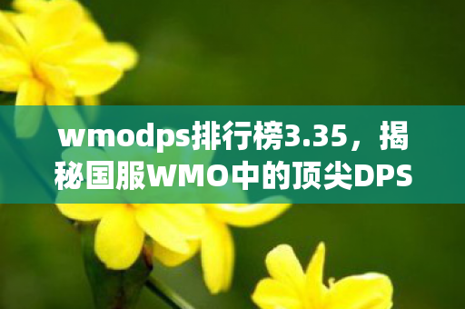 wmodps排行榜3.35，揭秘国服WMO中的顶尖DPS排行榜，强者的荣耀与荣耀之战