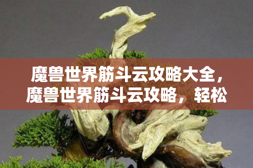 魔兽世界筋斗云攻略大全，魔兽世界筋斗云攻略，轻松驾驭神秘飞行坐骑