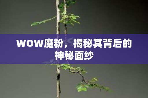 WOW魔粉，揭秘其背后的神秘面纱