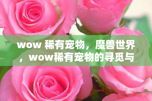 wow 稀有宠物，魔兽世界，wow稀有宠物的寻觅与收藏之旅