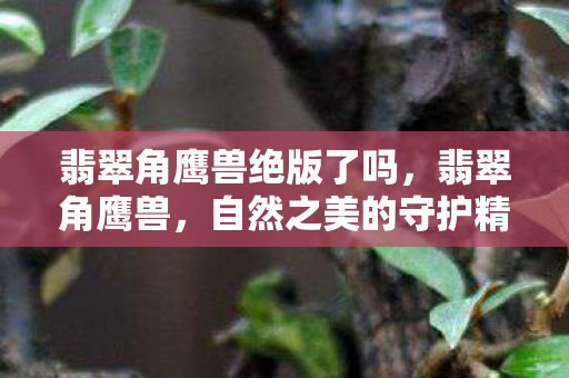 翡翠角鹰兽绝版了吗，翡翠角鹰兽，自然之美的守护精灵