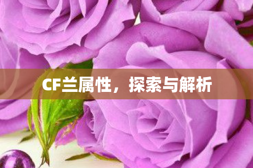 CF兰属性，探索与解析