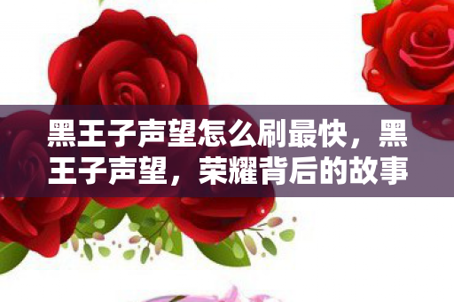 黑王子声望怎么刷最快，黑王子声望，荣耀背后的故事与传奇之路