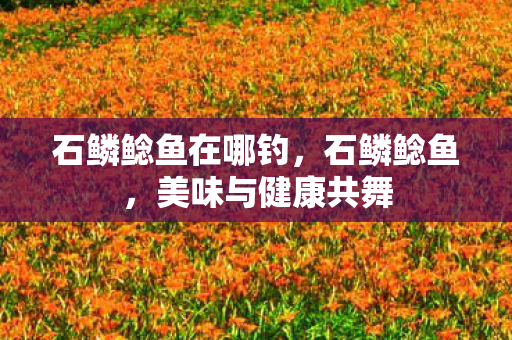 石鳞鲶鱼在哪钓，石鳞鲶鱼，美味与健康共舞
