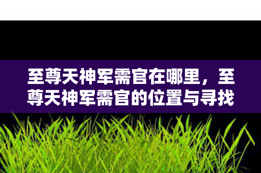 至尊天神军需官在哪里，至尊天神军需官的位置与寻找方法