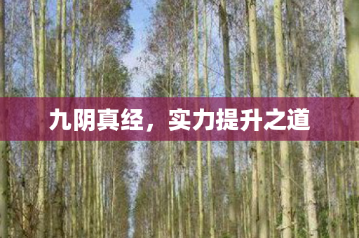 九阴真经，实力提升之道