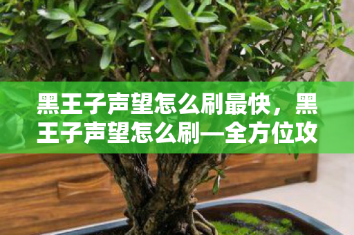 黑王子声望怎么刷最快，黑王子声望怎么刷—全方位攻略助你快速崭露头角