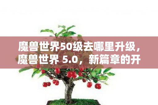 魔兽世界50级去哪里升级，魔兽世界 5.0，新篇章的开启