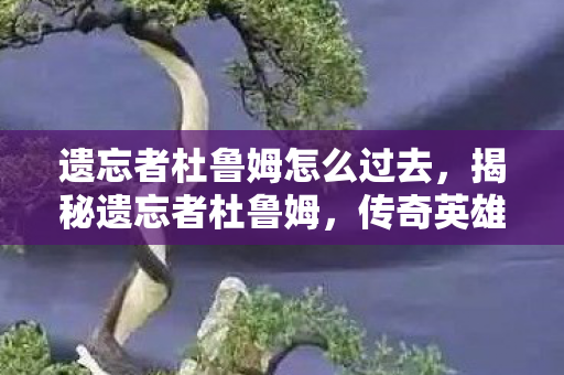 遗忘者杜鲁姆怎么过去，揭秘遗忘者杜鲁姆，传奇英雄的崛起与陨落