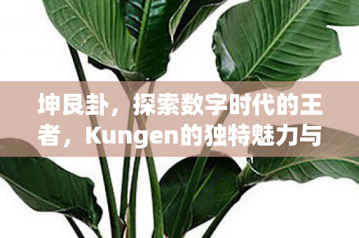 坤艮卦，探索数字时代的王者，Kungen的独特魅力与影响力