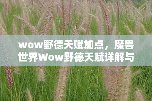 wow野德天赋加点，魔兽世界Wow野德天赋详解与攻略