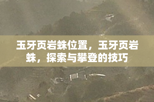 玉牙页岩蛛位置，玉牙页岩蛛，探索与攀登的技巧