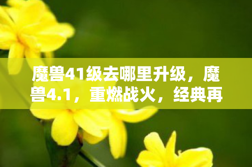 魔兽41级去哪里升级，魔兽4.1，重燃战火，经典再现