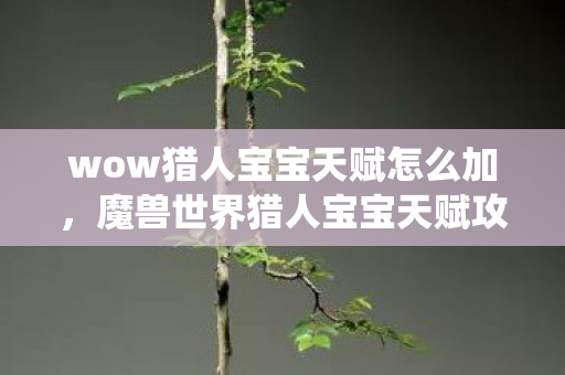 wow猎人宝宝天赋怎么加，魔兽世界猎人宝宝天赋攻略，玩转天赋系统，打造最强宝宝！