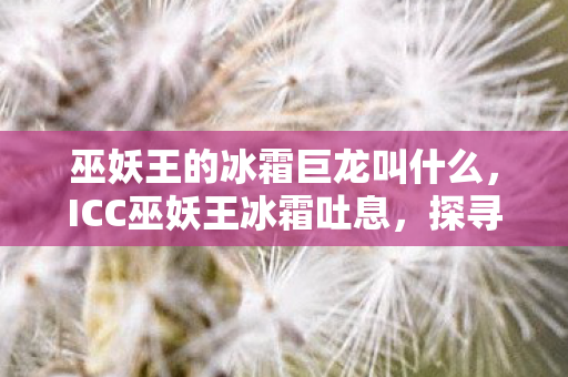 巫妖王的冰霜巨龙叫什么，ICC巫妖王冰霜吐息，探寻冰封之息的奥秘与影响
