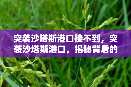 突袭沙塔斯港口接不到，突袭沙塔斯港口，揭秘背后的故事与真相