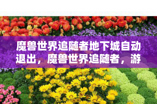 魔兽世界追随者地下城自动退出，魔兽世界追随者，游戏内外的忠诚与荣耀