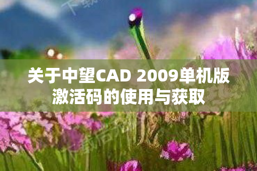 关于中望CAD 2009单机版激活码的使用与获取