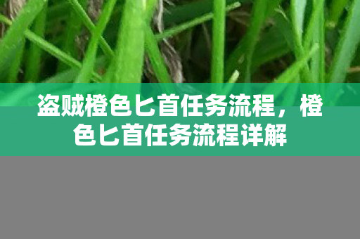 盗贼橙色匕首任务流程，橙色匕首任务流程详解