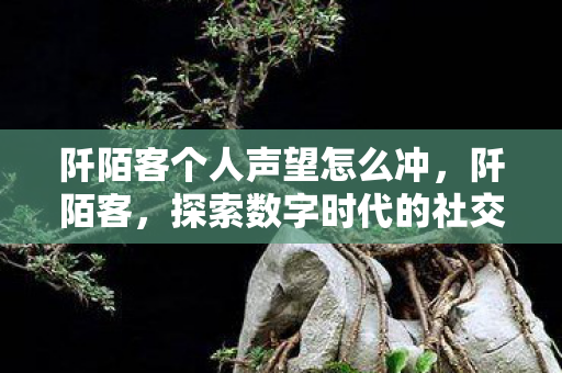 阡陌客个人声望怎么冲，阡陌客，探索数字时代的社交新纪元