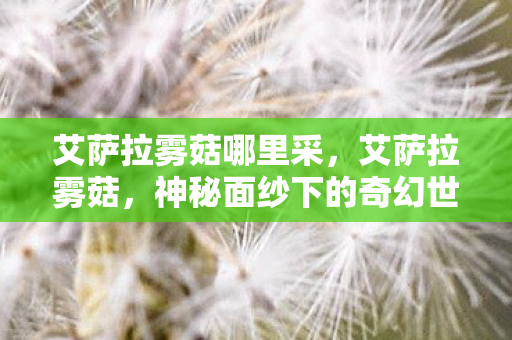 艾萨拉雾菇哪里采，艾萨拉雾菇，神秘面纱下的奇幻世界