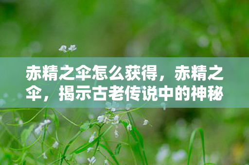 赤精之伞怎么获得，赤精之伞，揭示古老传说中的神秘力量
