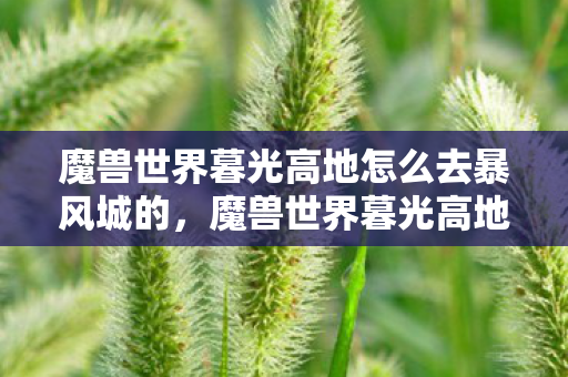 魔兽世界暮光高地怎么去暴风城的，魔兽世界暮光高地怎么去—探索神秘领域的详细指南