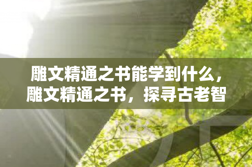 雕文精通之书能学到什么，雕文精通之书，探寻古老智慧的奥秘