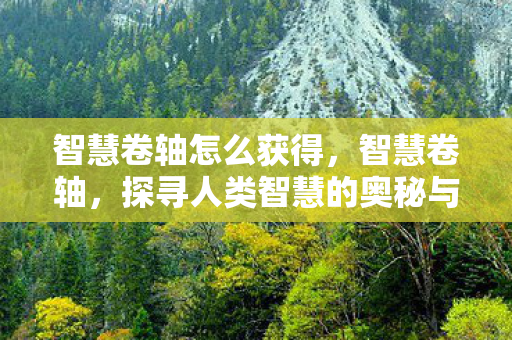 智慧卷轴怎么获得，智慧卷轴，探寻人类智慧的奥秘与力量