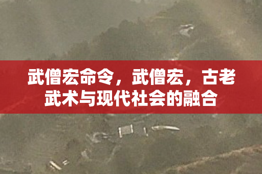 武僧宏命令，武僧宏，古老武术与现代社会的融合