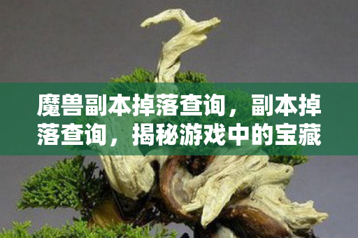 魔兽副本掉落查询，副本掉落查询，揭秘游戏中的宝藏获取机制