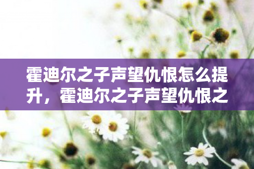 霍迪尔之子声望仇恨怎么提升，霍迪尔之子声望仇恨之谜