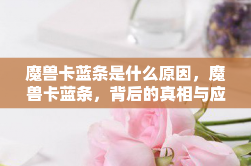 魔兽卡蓝条是什么原因，魔兽卡蓝条，背后的真相与应对策略