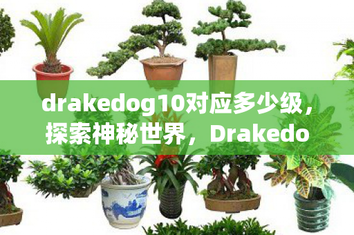 drakedog10对应多少级，探索神秘世界，Drakedog10的独特魅力与故事